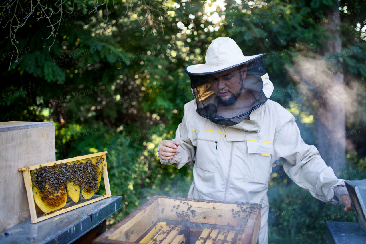 Front view portrait of man beekeeper working in apiary.