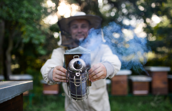 A portrait of man beekeeper working in apiary, using bee smoker.