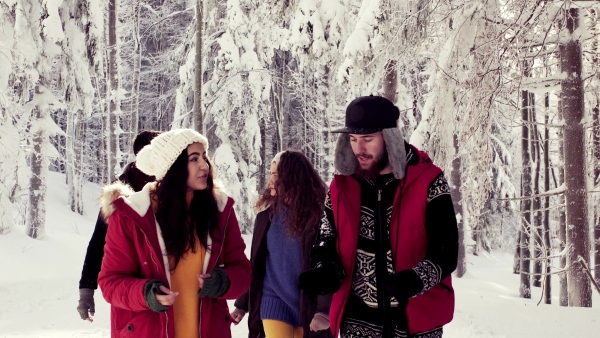 A group of young cheerful friends on a walk outdoors in snow in winter forest, talking.