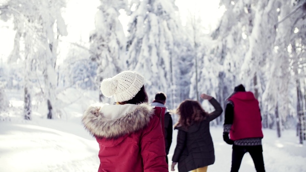 Rear view of group of young friends on a walk outdoors in snow in winter forest. Slow motion.