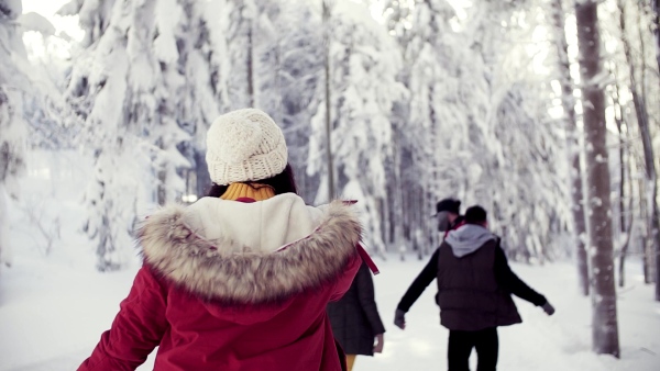 Rear view of group of young friends on a walk outdoors in snow in winter forest. Slow motion.