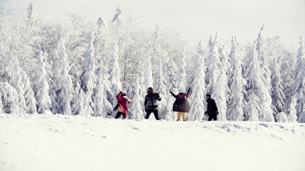 A group of young cheerful friends on a walk outdoors in snow in winter forest, having fun. Slow motion.