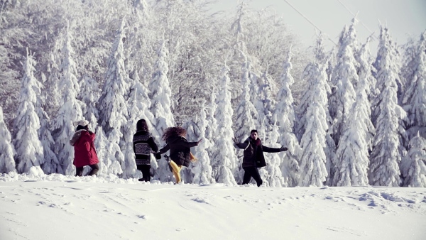 A group of young cheerful friends on a walk outdoors in snow in winter forest, having fun. Slow motion.