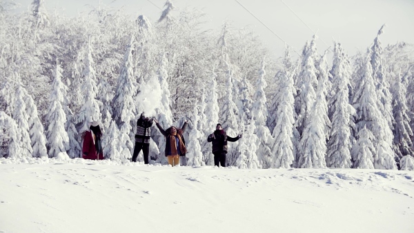 A group of young cheerful friends on a walk outdoors in snow in winter forest, having fun. Slow motion.