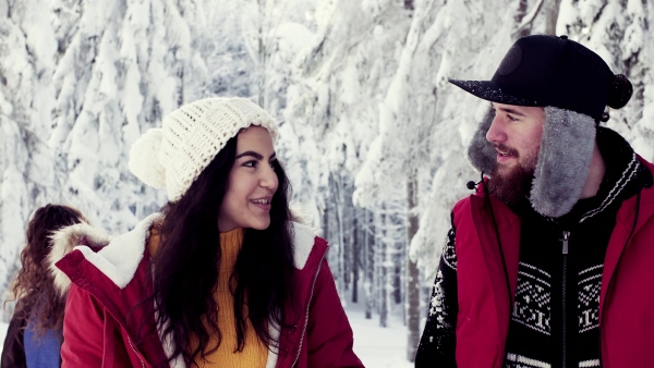 A group of young cheerful friends on a walk outdoors in snow in winter forest, talking.