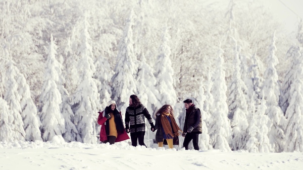 A group of young cheerful friends on a walk outdoors in snow in winter forest.