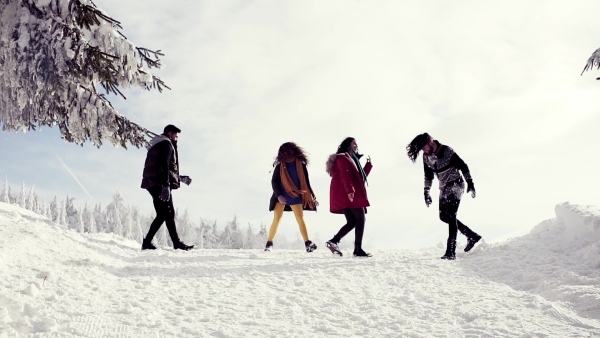 A group of young cheerful friends on a walk outdoors in snow in winter forest, having fun. Slow motion.