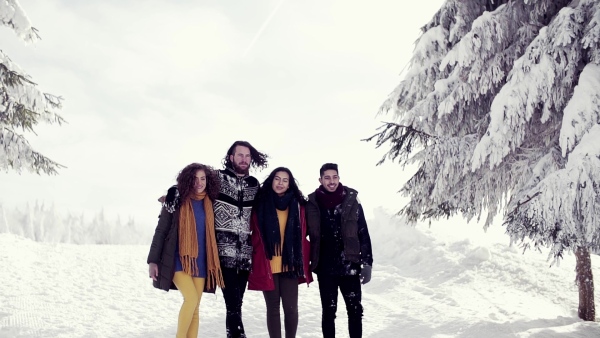 A group of young cheerful friends on a walk outdoors in snow in winter forest, looking at camera. Slow motion.