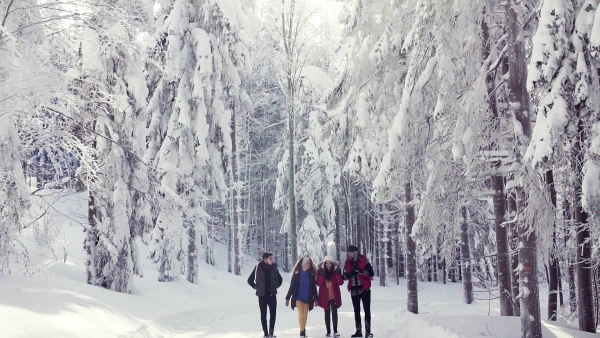 A group of young cheerful friends on a walk outdoors in snow in winter forest, talking. Slow motion.