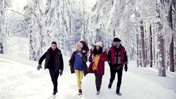 A group of cheerful young cheerful friends on a walk outdoors in snow in winter forest, running. Slow motion.