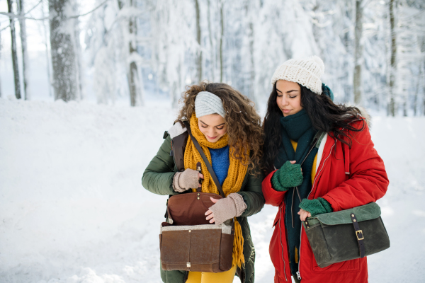 Front view of young cheerful friends on a walk outdoors in snow in winter forest.