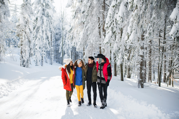 A group of young cheerful friends on a walk outdoors in snow in winter forest, walking.