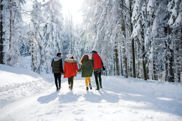 A rear view of group of young friends on a walk outdoors in snow in winter forest, walking.