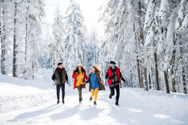 A group of young cheerful friends on a walk outdoors in snow in winter forest, running.