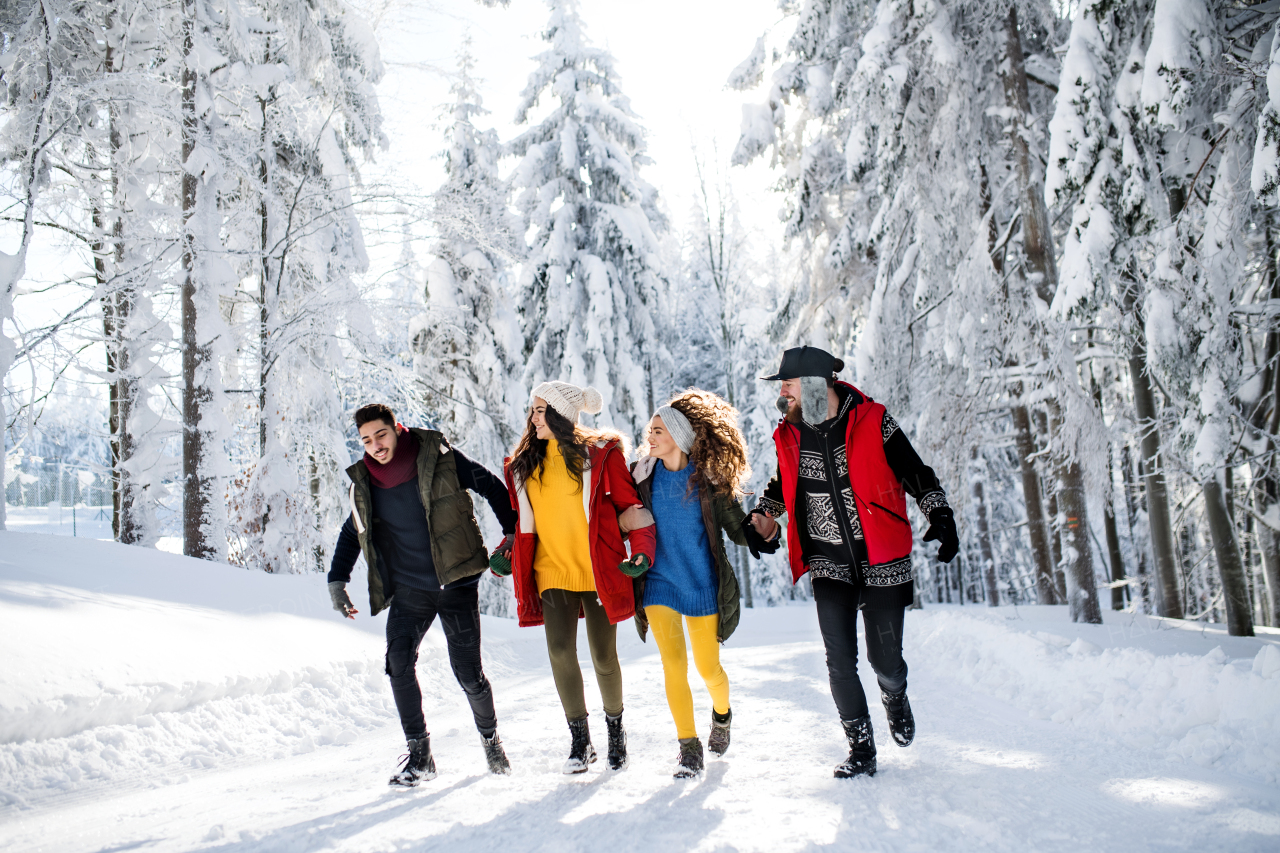 A group of young cheerful friends on a walk outdoors in snow in winter forest, walking.