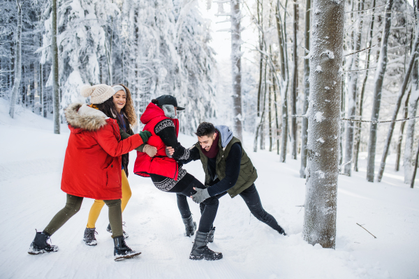 A group of young cheerful friends on a walk outdoors in snow in winter forest, having fun.