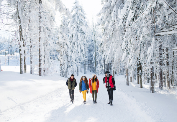 A group of young cheerful friends on a walk outdoors in snow in winter forest.