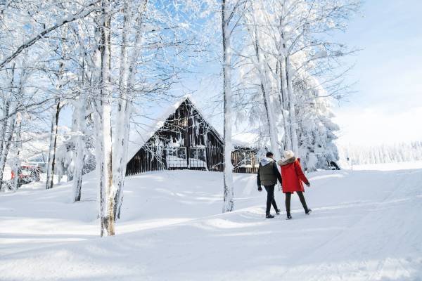 Rear view of young couple walking outdoors in snow in winter forest, talking