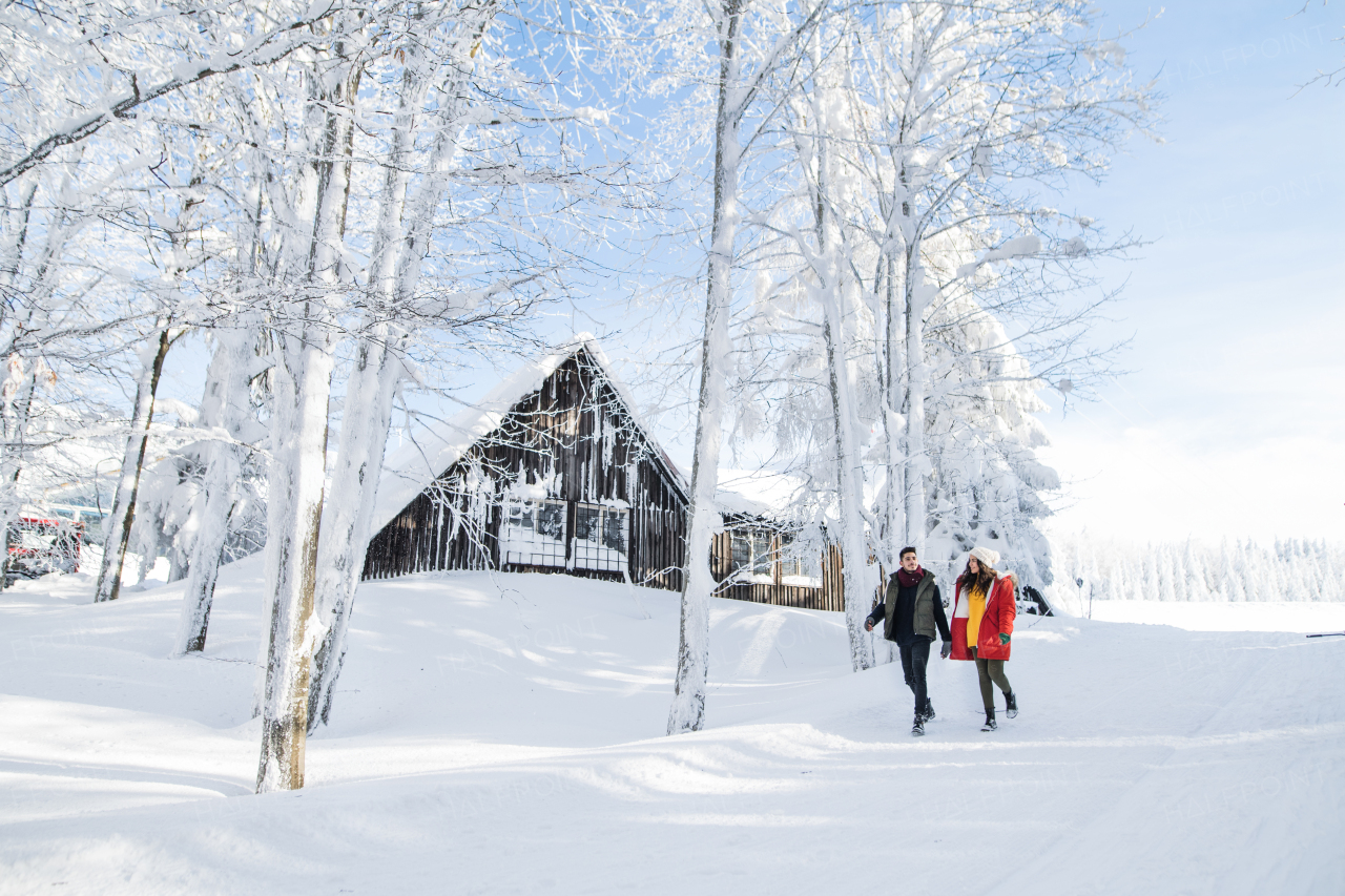 Young couple walking outdoors in snow in winter forest, talking