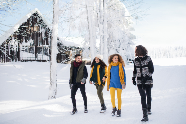 A group of young cheerful friends on a walk outdoors in snow in winter, holding hands.