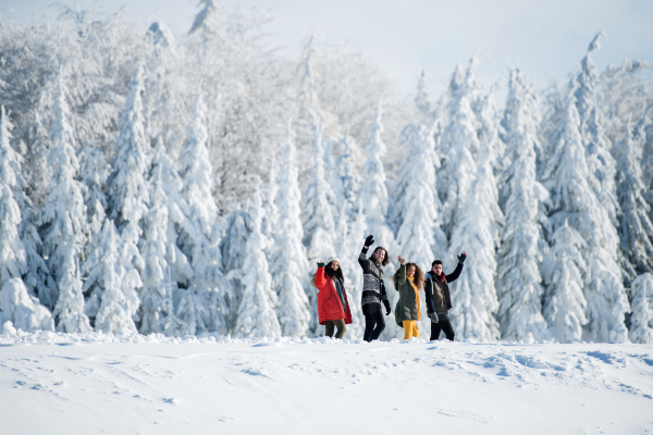 A group of young cheerful friends on a walk outdoors in snow in winter forest, waving.