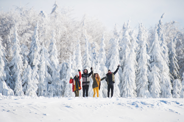 A group of young cheerful friends on a walk outdoors in snow in winter, standing and looking at camera.