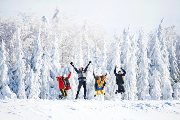 A group of young cheerful friends on a walk outdoors in snow in winter forest, having fun.