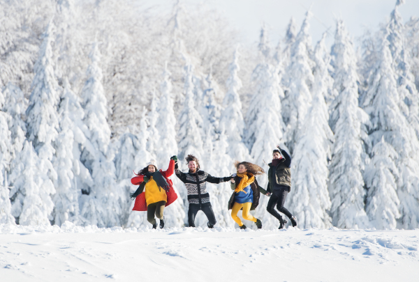 A group of young cheerful friends on a walk outdoors in snow in winter forest, waving.