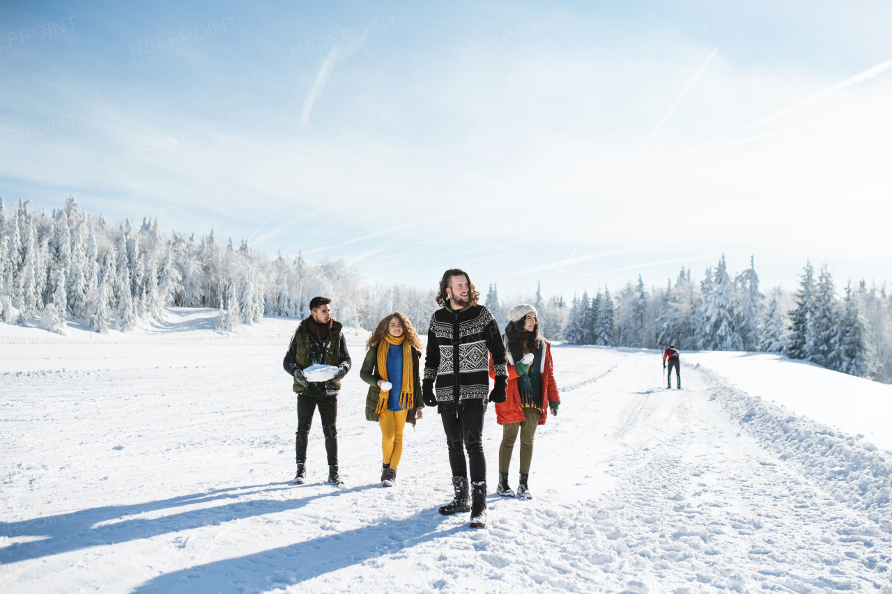 A group of young cheerful friends on a walk outdoors in snow in winter forest, walking.