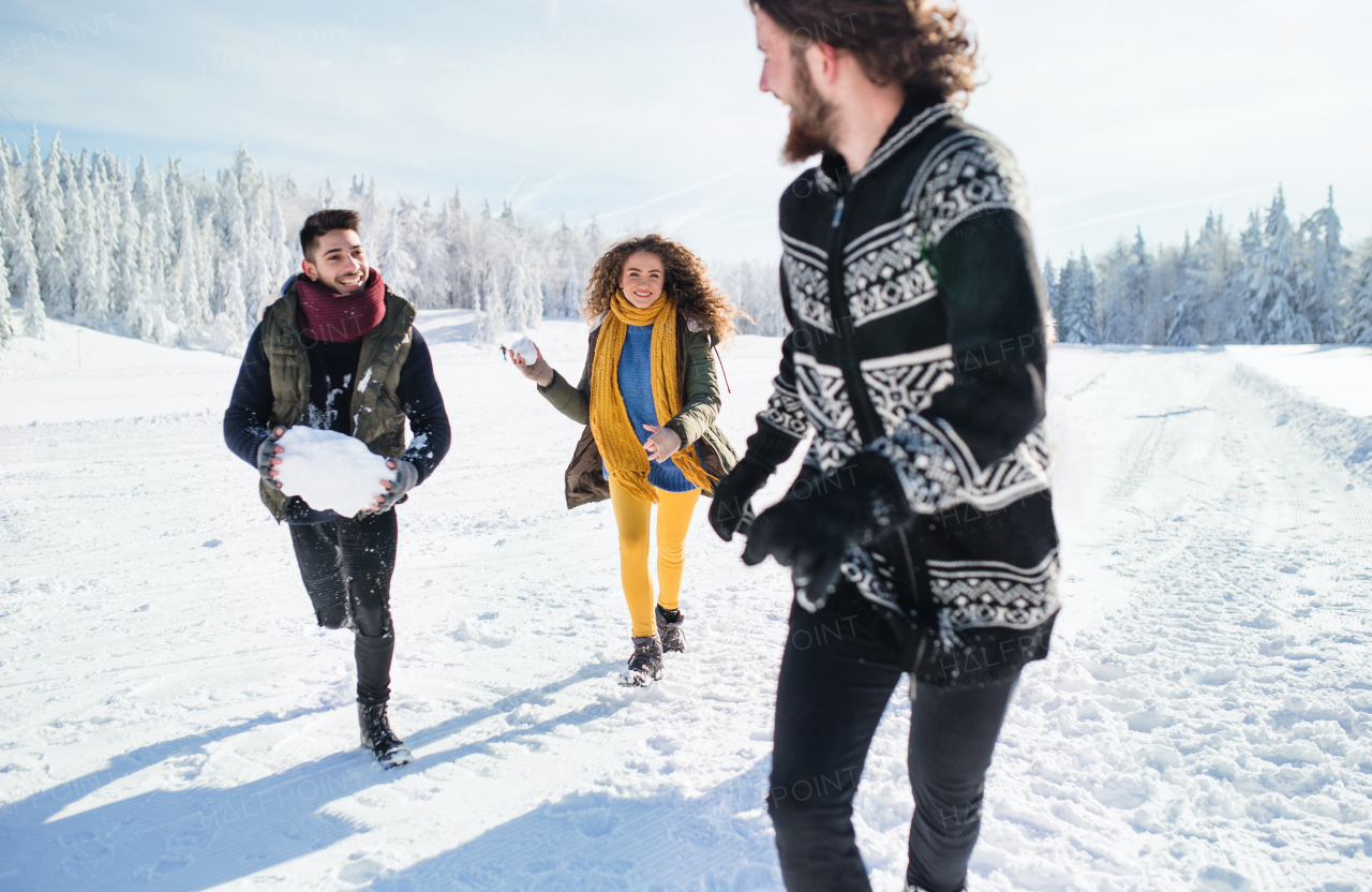 A group of young cheerful friends on a walk outdoors in snow in winter forest, having fun.