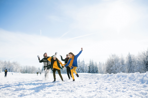 A group of young cheerful friends on a walk outdoors in snow in winter forest, having fun.