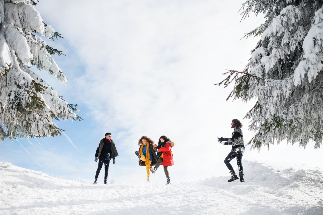 A group of young cheerful friends on a walk outdoors in snow in winter forest, having fun.