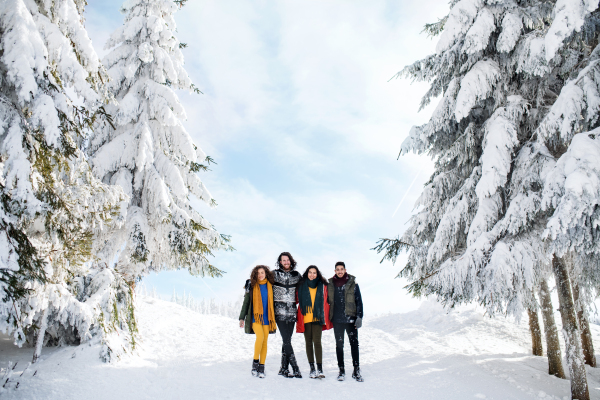 A group of young cheerful friends on a walk outdoors in snow in winter, standing and looking at camera.