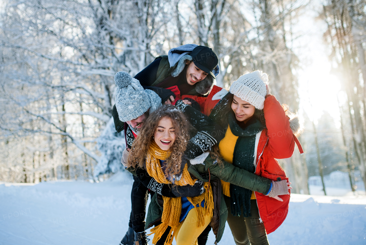 A group of young cheerful friends on a walk outdoors in snow in winter forest, having fun.