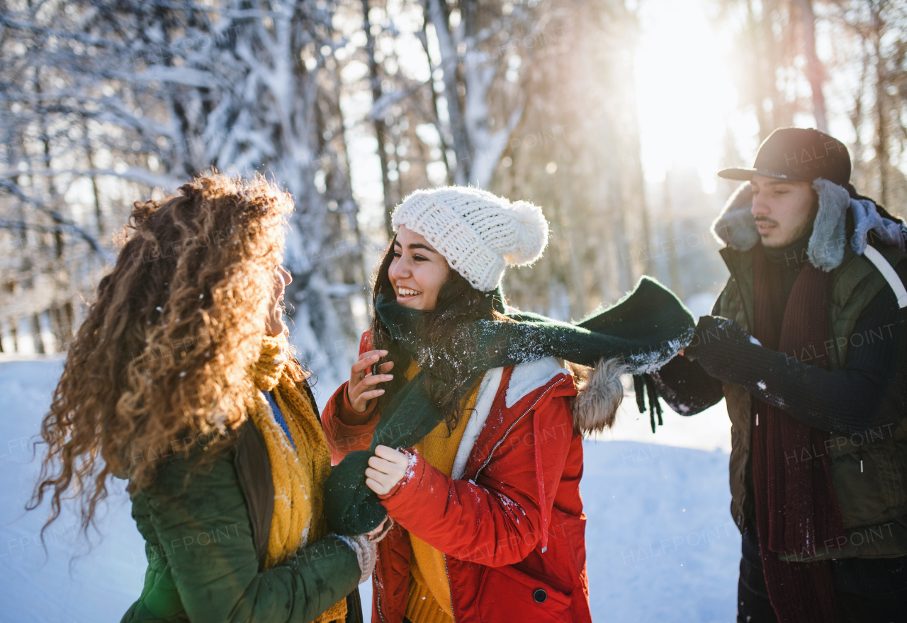 A group of young cheerful friends on a walk outdoors in snow in winter forest, having fun.