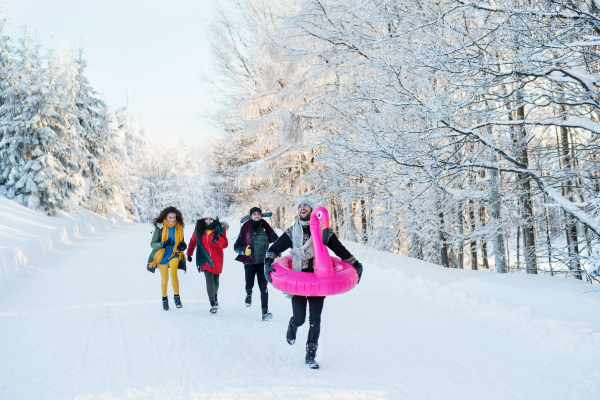 A group of young cheerful friends on a walk outdoors in snow in winter forest, having fun.