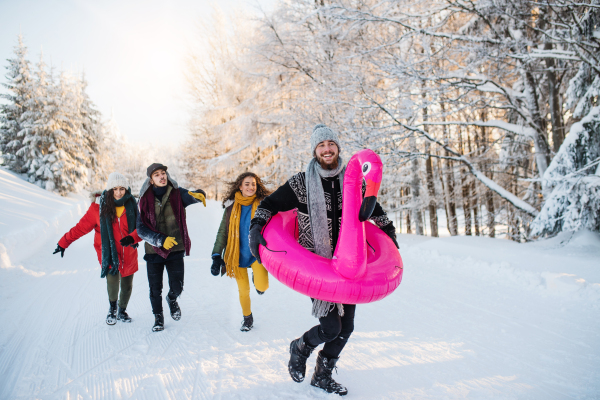 A group of young cheerful friends on a walk outdoors in snow in winter forest, having fun.