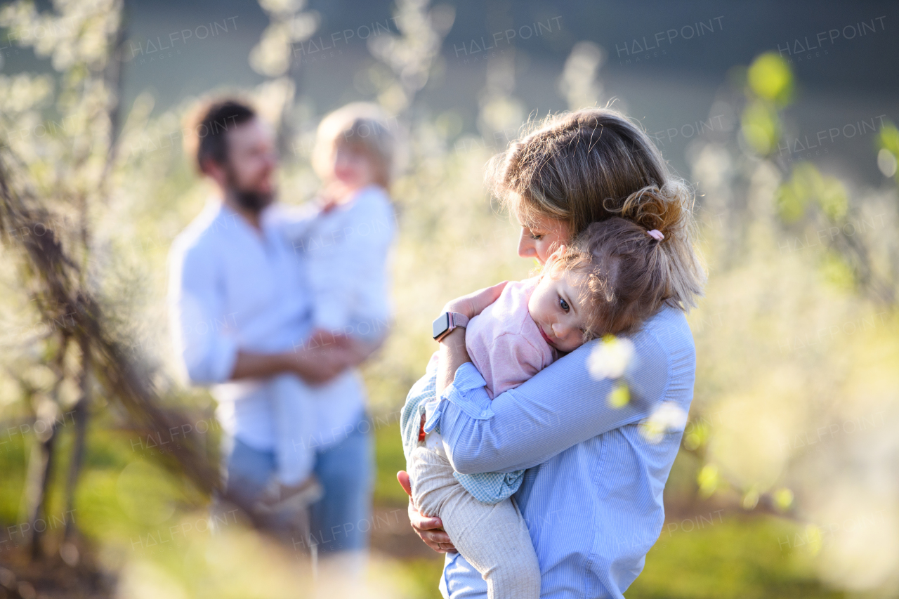 Front view of family with two small children standing outdoors in orchard in spring.