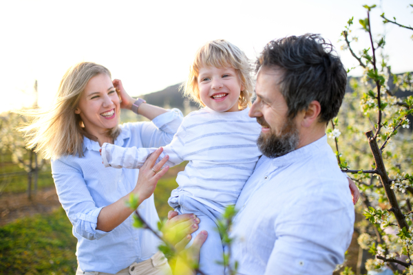 Front view of family with small son standing outdoors in orchard in spring, laughing.