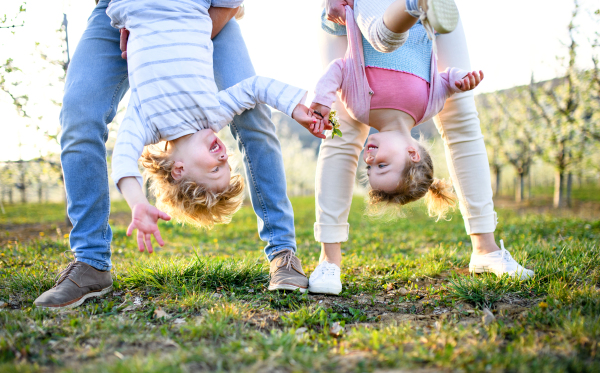 Cheerful family outdoors in orchard in spring, holding children upside down.