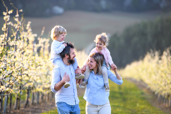 Front view of family with two small children walking outdoors in orchard in spring, piggyback ride.