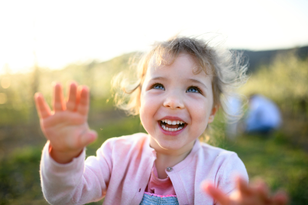 Front view of small toddler girl standing outdoors in orchard in spring, having fun.