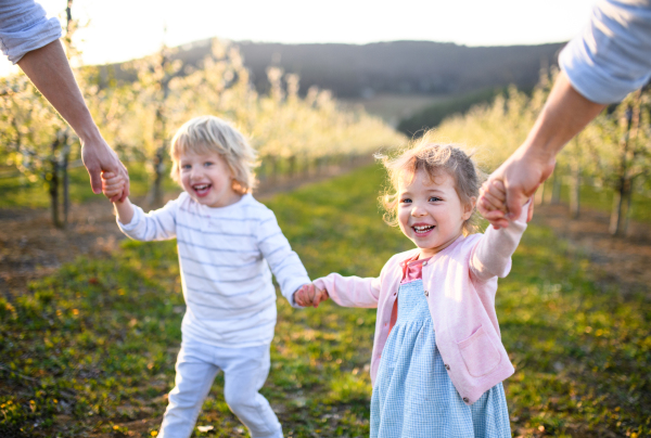 Front view of family with two small children running outdoors in orchard in spring.