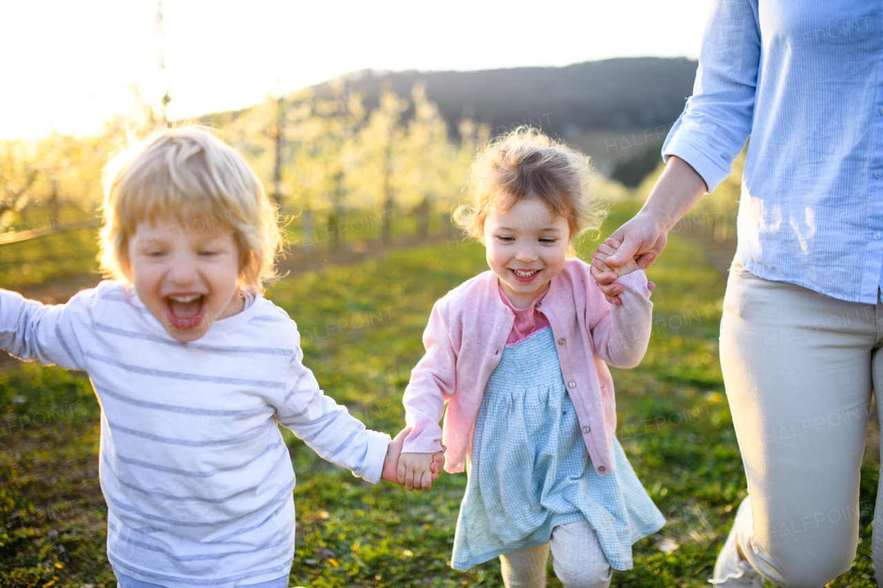 Two small children with unrecognizable mother running outdoors in orchard in spring.