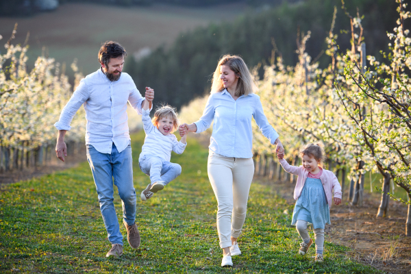 Front view of family with two small children running outdoors in orchard in spring.