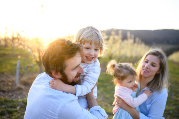 Front view of family with two small children standing outdoors in orchard in spring at sunset.