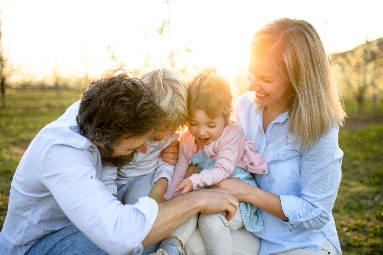 Happy family with two small children sitting outdoors in orchard in spring at sunset.