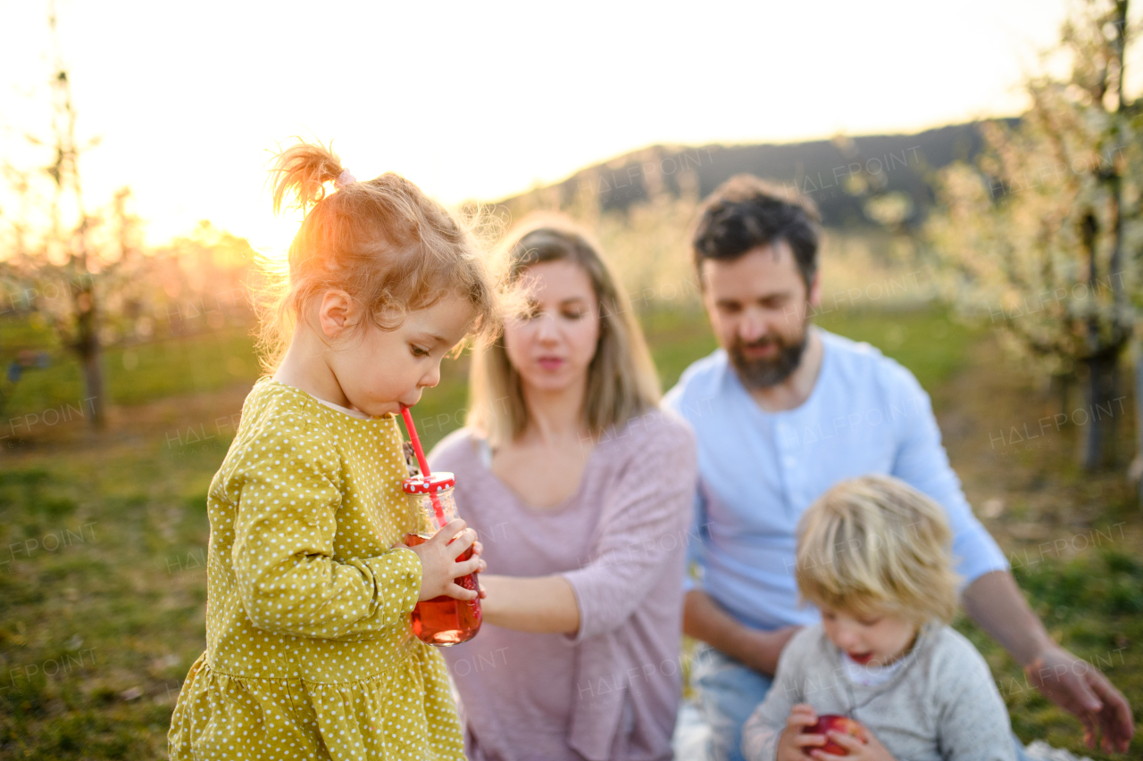 Front view of family with two small children having picnic outdoors in spring nature at sunset.