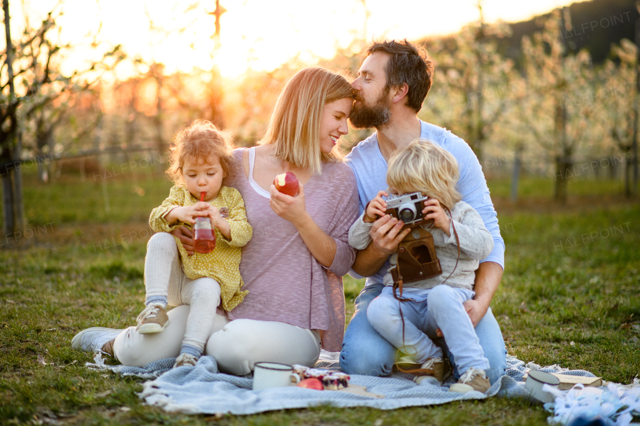 Front view of family with two small children having picnic outdoors in spring nature at sunset.