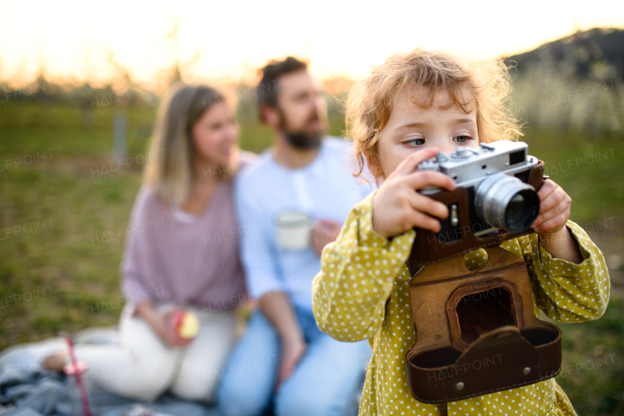 Small girl with camera taking photograph of family on picnic outdoors in spring nature at sunset.